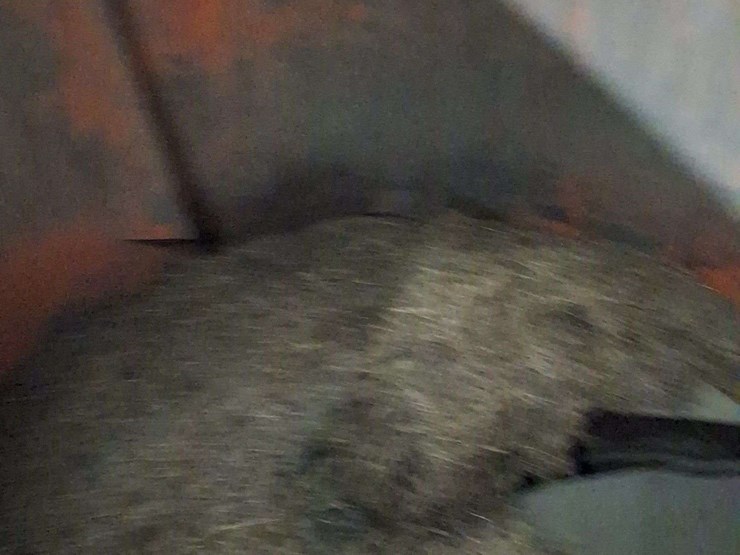 roto-grind-tub/bale-grinder,-with-spout,-small-1000pto,-image-6