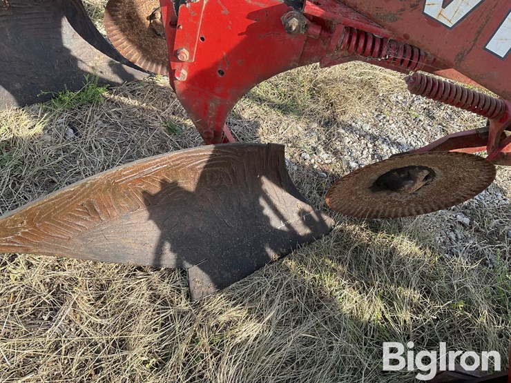 1982-white-588-image-16