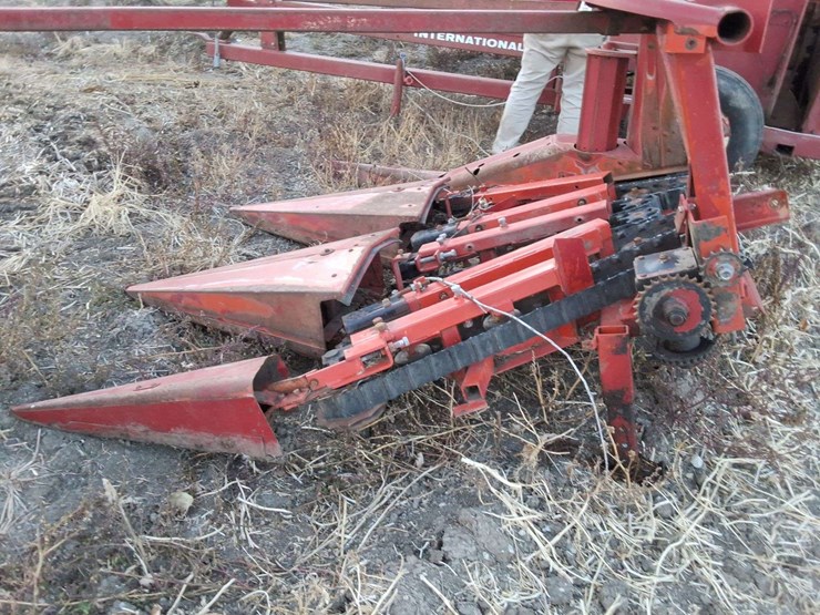 international-3-image-3