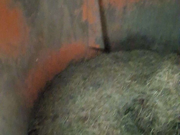 roto-grind-tub/bale-grinder,-with-spout,-small-1000pto,-image-7