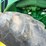 2013-john-deere-8285r-image-8