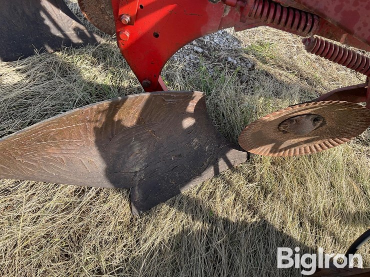 1982-white-588-image-17