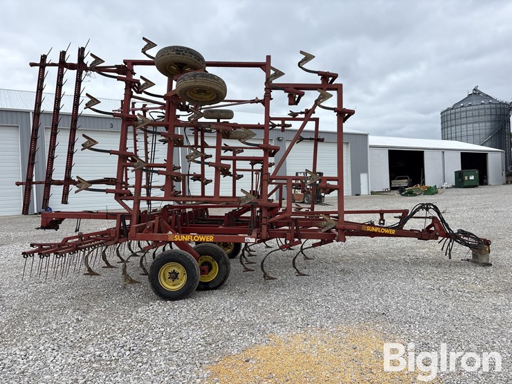 sunflower-5034-30-image-4