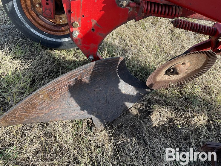 1982-white-588-image-13