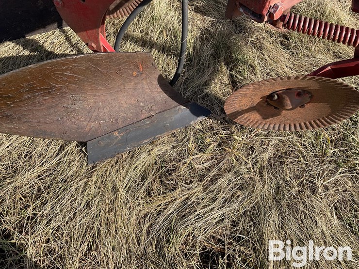 1982-white-588-image-18