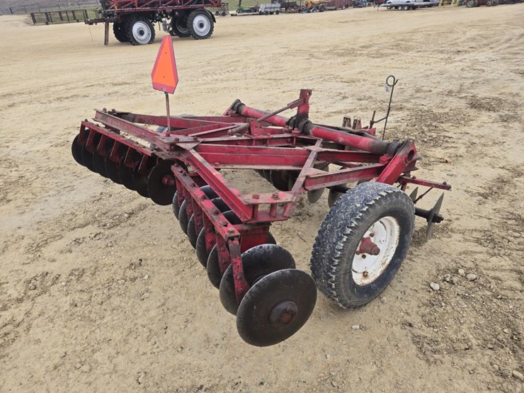 international-8-image-7