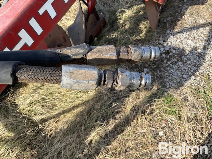 1982-white-588-image-19