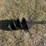 auger-drill-bit-image-3