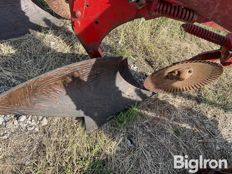 1982-white-588-image-15