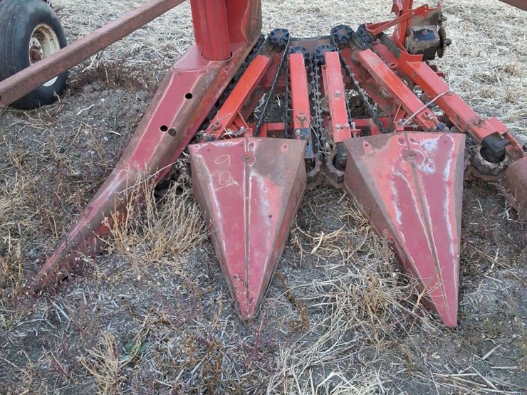 international-3-image-2