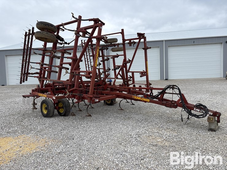 sunflower-5034-30-image-3