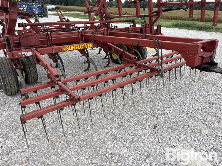 sunflower-5034-30-image-15