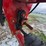 farm-king-y1070tmr-auger-image-14