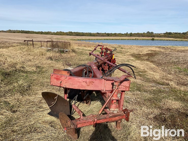 1982-white-588-image-2