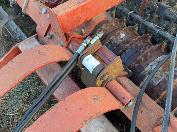 international-415-image-7