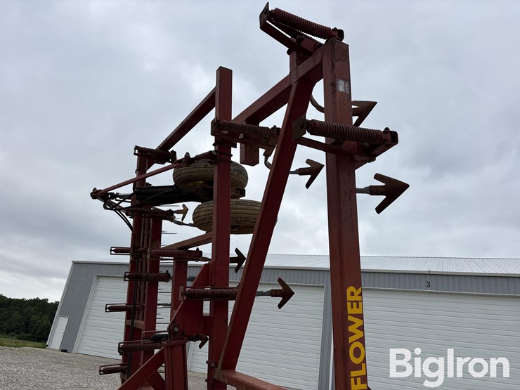 sunflower-5034-30-image-17