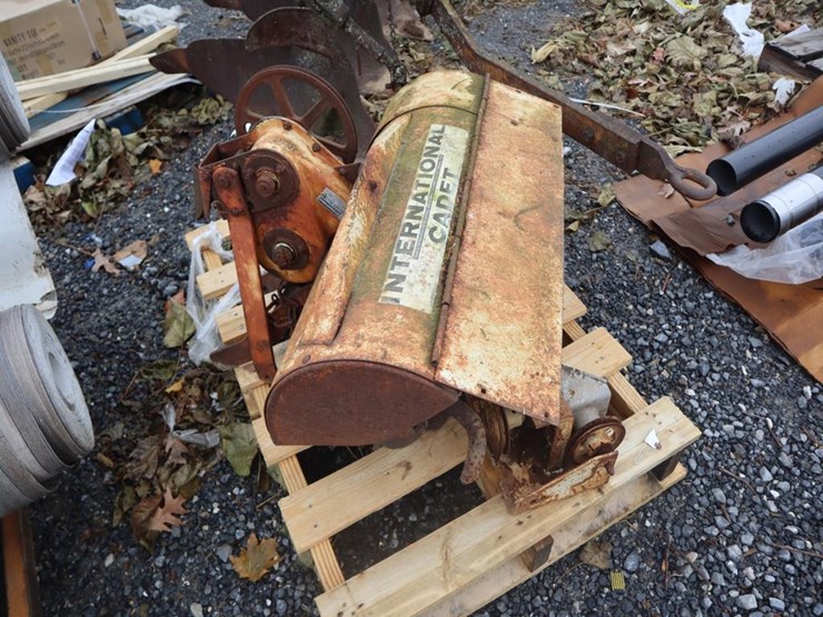 international-cub-image-1