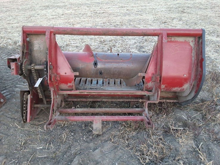 international-hay-head-image-1