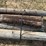 6--wood-line-posts/poles-7’-8’-long-image-3