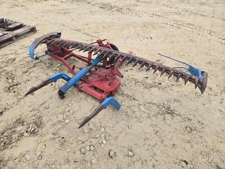 international-100-image-6