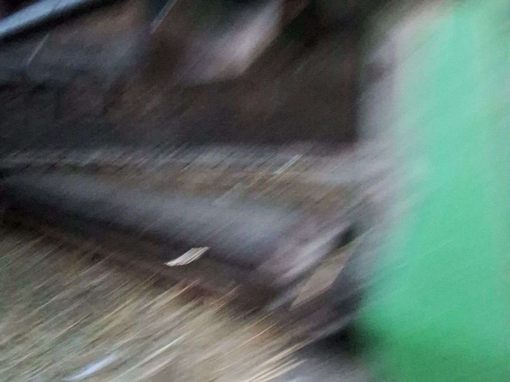 badger-14ft-silage-wagon,-single-axle-image-4