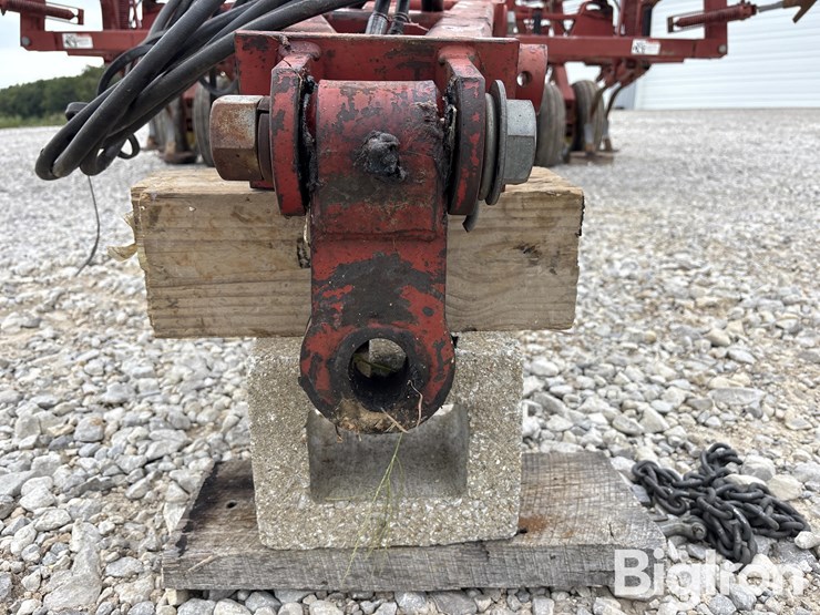 sunflower-5034-30-image-9