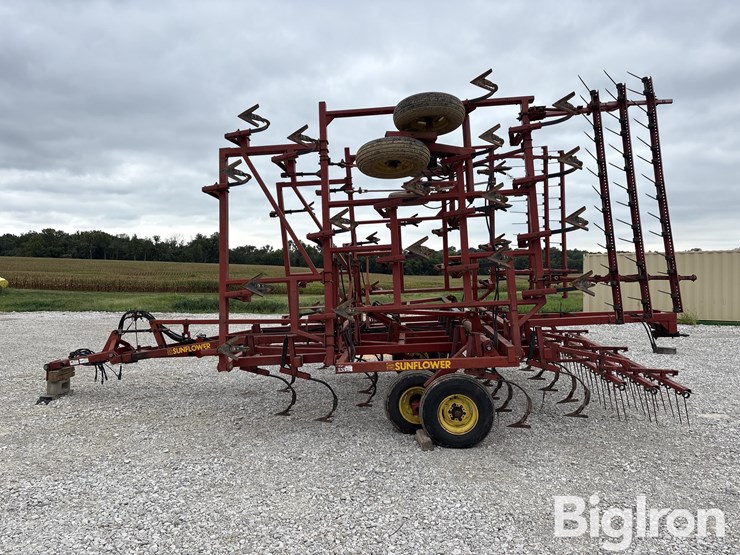 sunflower-5034-30-image-8