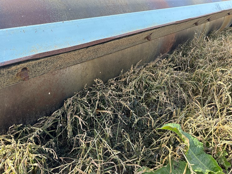 #33778-•-orthman-603-100-16-row-30"-bedder-roller-3205-5-image-27