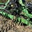 john-deere-1720-image-54