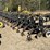 #33726-•-16-row-30"-cultivator-image-3