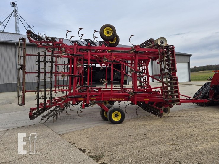 sunflower-6433-40-image-9