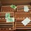 assorted-size-square-cedar-wooden-plant-baskets,-image-4