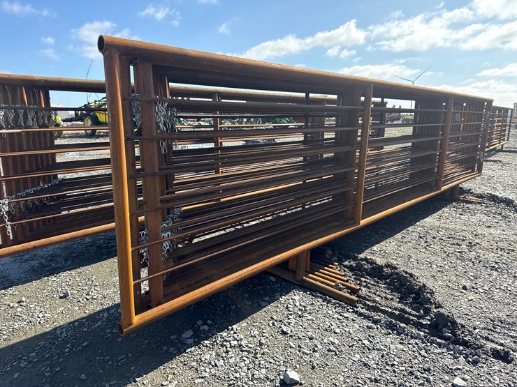 #22677-•-(9)-cattle-panels-&-(1)-gate-image-3