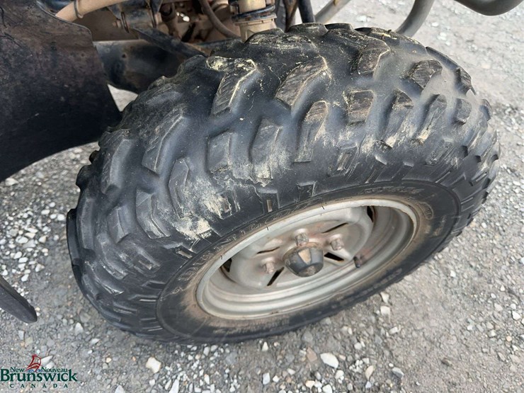 2002-yamaha-big-bear-400-image-12