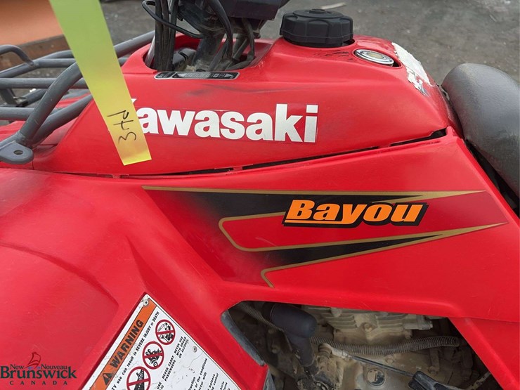 1999-kawasaki-bayou-300-image-9