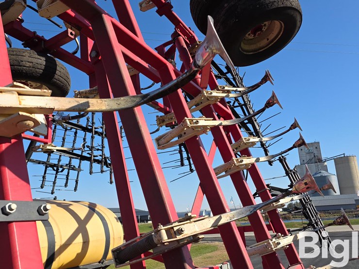 wil-rich-quad-5-image-19