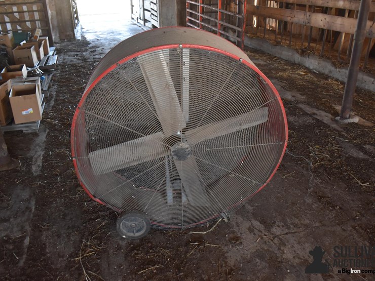 large-fan-image-2
