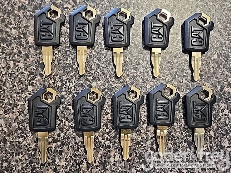unused-cat-keys-(10-of)-image-1