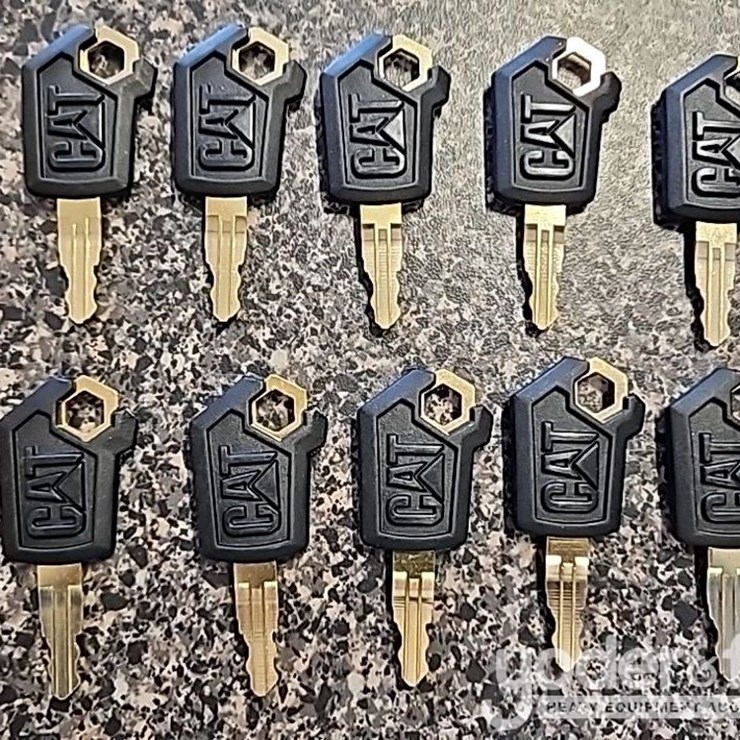 Unused Cat Keys (10 of)