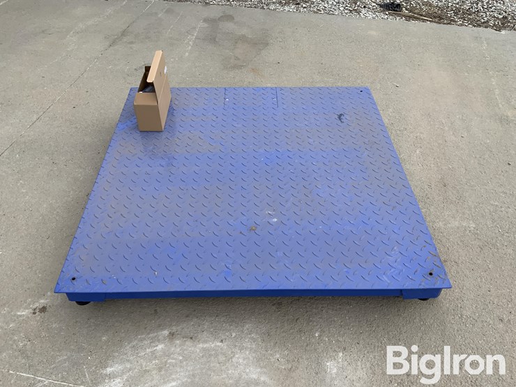 my-scale-fw-class-iii-certified-scale-image-8