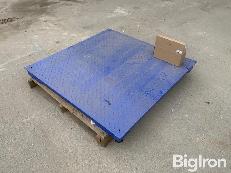 my-scale-fw-class-iii-certified-scale-image-5