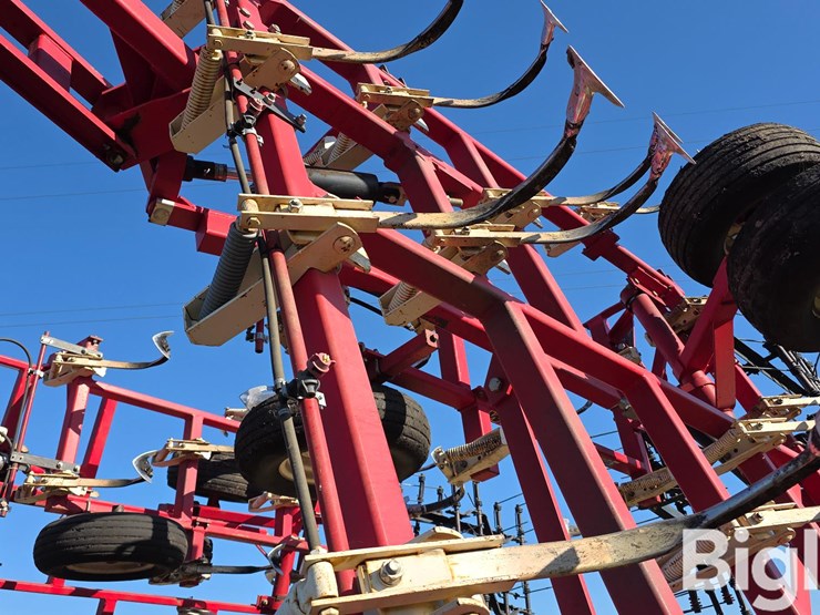 wil-rich-quad-5-image-17