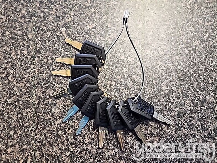 unused-cat-keys-(10-of)-image-4