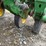 john-deere-1790-image-24