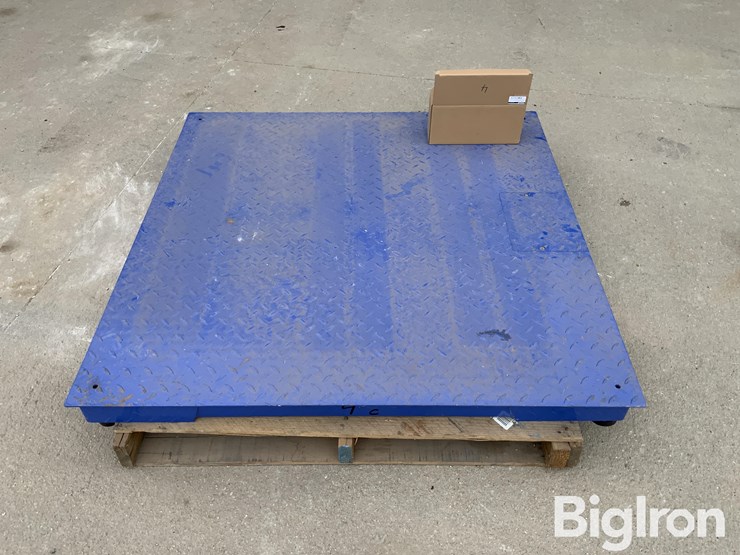 my-scale-fw-class-iii-certified-scale-image-6