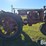 1937-farmall-f-20-2wd-tractor-image-4
