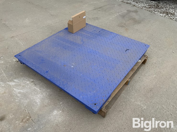 my-scale-fw-class-iii-certified-scale-image-7