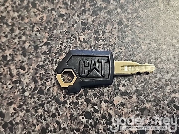unused-cat-keys-(10-of)-image-3