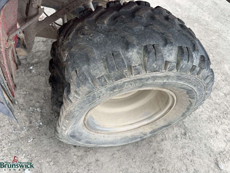 1995-honda-fourtrax-300-image-10