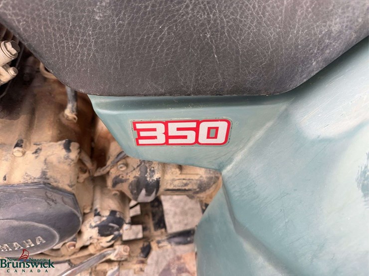 1993-yamaha-moto-4-image-10